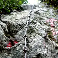 金胎寺の写真・動画_image_73925