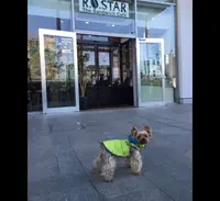 R.O.STAR(ロースター)の写真・動画_image_168774