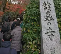 鈴虫寺（華厳寺）の写真・動画_image_210057