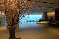 日本平ホテルの写真・動画_image_267784