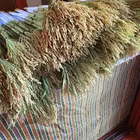 六波羅蜜寺の写真・動画_image_56651