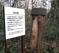 加佐の岬の写真・動画_image_342373