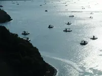 堀越海峡の写真・動画_image_21260