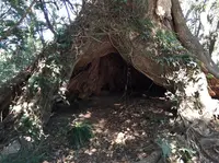 城山展望台の写真・動画_image_22922