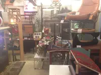 SONE CHIKA（ソネチカ）の写真・動画_image_25189