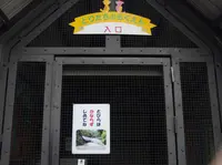 高鼻町４丁目の写真・動画_image_27580