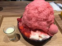 アイスモンスターの写真・動画_image_32943