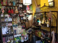 中崎町ＴＥＴＥの写真・動画_image_48922