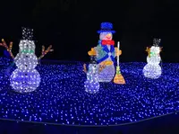 京都イルミエールの写真・動画_image_52504