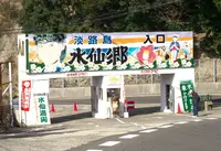 立川水仙郷の写真・動画_image_57133