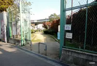 飛田本通中央商店会の写真・動画_image_58296