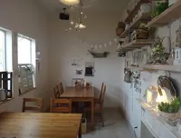 ココハウスの写真・動画_image_63797