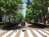 丸の内の写真・動画_image_68066