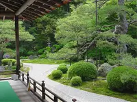 曼殊院門跡の写真・動画_image_70477