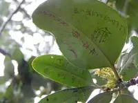 法起院の写真・動画_image_76038