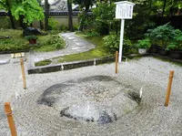 下鴨神社（賀茂御祖神社）の写真・動画_image_76648