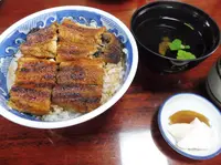 角丸の写真・動画_image_79031
