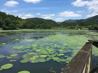 なごみの里・あさひの写真・動画_image_99799