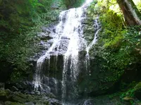 飛龍の滝の写真・動画_image_142033