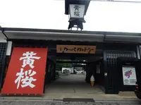 キザクラカッパカントリーの写真・動画_image_184548