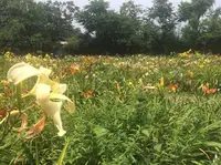 岡本自然農園の写真・動画_image_184663