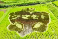 楽音寺の写真・動画_image_189487