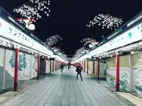浅草寺の写真・動画_image_223839