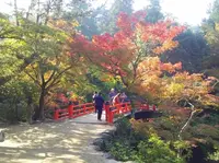 紅葉谷公園の写真・動画_image_279525