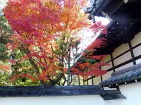 退耕庵の写真・動画_image_282153