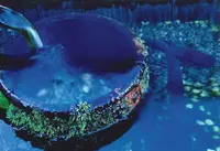 生水の郷の写真・動画_image_444174