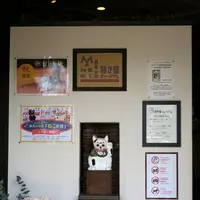 招き猫ミュージアムの写真・動画_image_157955