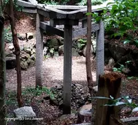 蚕ノ社駅の写真・動画_image_65149