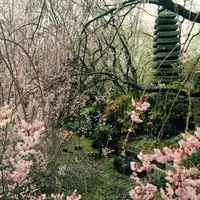 植藤造園の写真・動画_image_170189