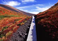 秋田駒ヶ岳の写真・動画_image_153499
