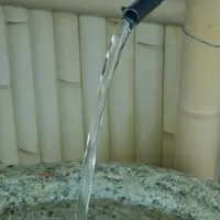 白菊水の写真・動画_image_184479