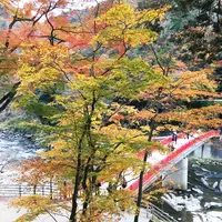 香嵐渓の写真・動画_image_206084