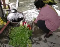生水の郷の写真・動画_image_444259