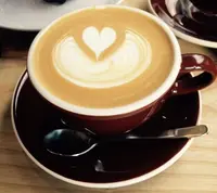 The Coffee Tableの写真・動画_image_23433