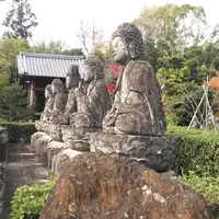 蓮華寺の写真・動画_image_241245