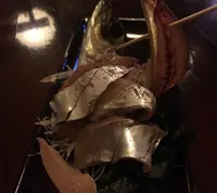 魚鷹の写真・動画_image_24655