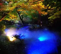 六義園の写真・動画_image_50918