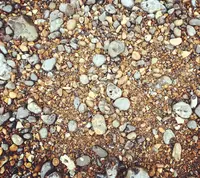 Seven Sistersの写真・動画_image_55027