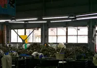 網元津田正水産の写真・動画_image_57186