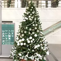新宿モノリスの写真・動画_image_208834