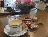 Ｆｅｌｉｃｉｓｓｉｍｏ　ＣＯＯＭＡの写真・動画_image_213954