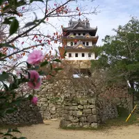 すもとアルファビアミュージアムの写真・動画_image_29699