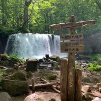 奥入瀬渓流　　の写真・動画_image_669742