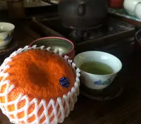 このみ園本舗の写真・動画_image_24648