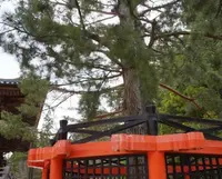 壇上伽藍の写真・動画_image_67771