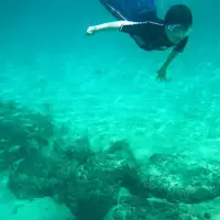 対馬グリーンパークの写真・動画_image_188176